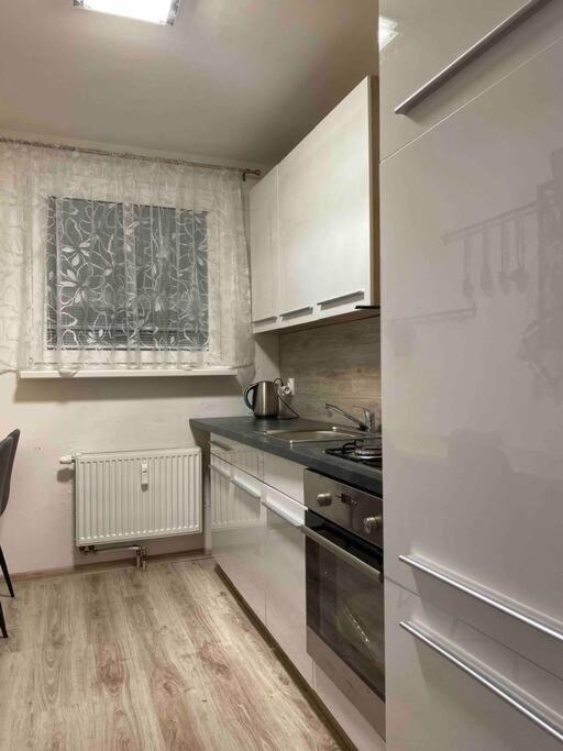 Apartment “rose” Martin