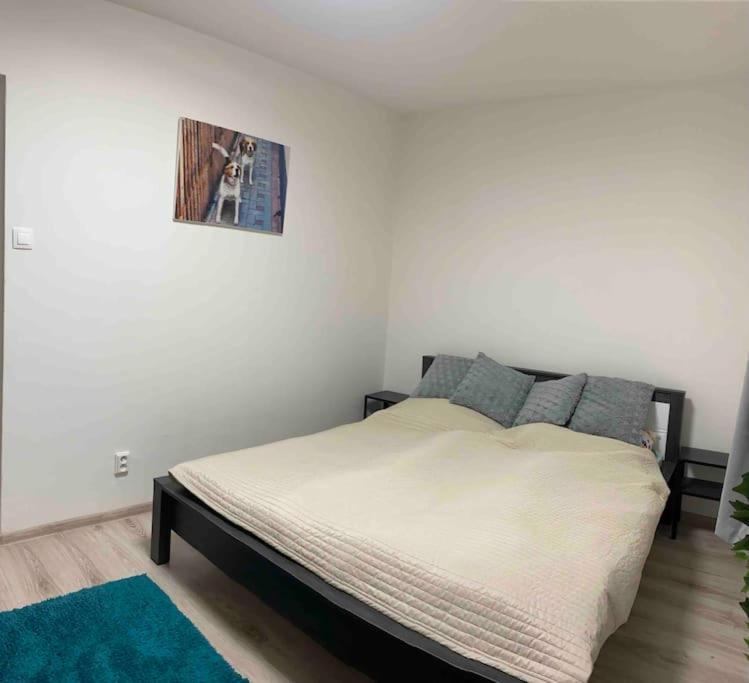 Apartment “rose”